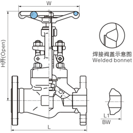 國標(biāo)鍛鋼截止閥